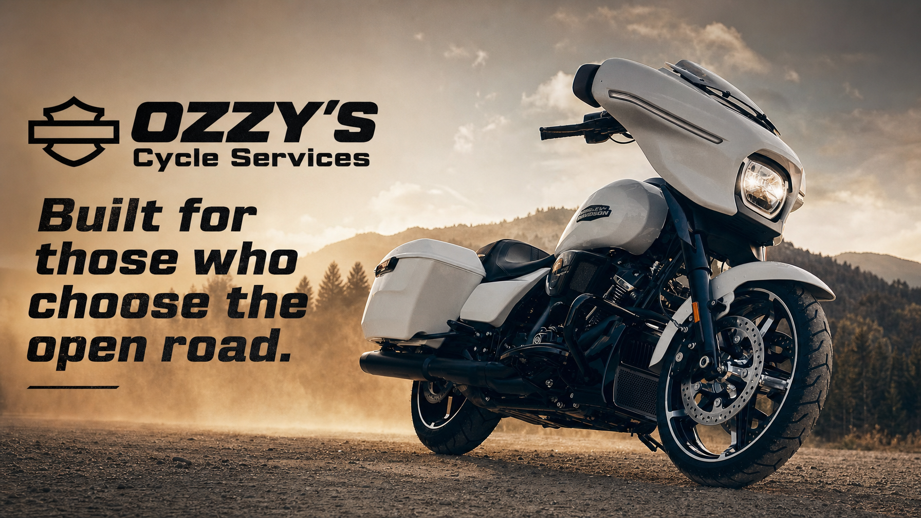 Ozzy's Cycle Services motorcycles